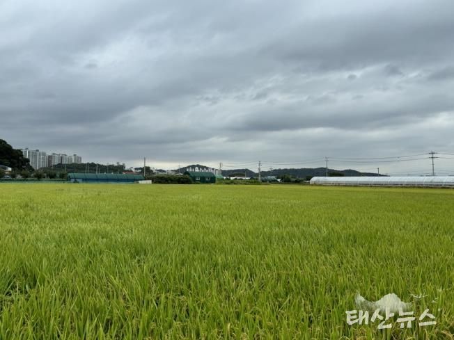 파주시, 기본형 공익직불금 신청 서두르세요!