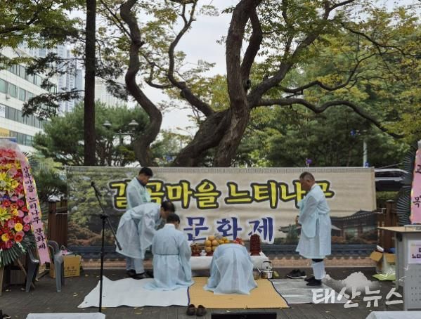 용인특례시 갈곡마을 느티나무 문화제