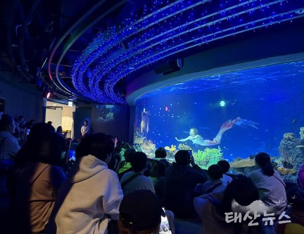 수원특례시 드림스타트 아동·가족이 아쿠아플라넷 관람을 하고 있다.
