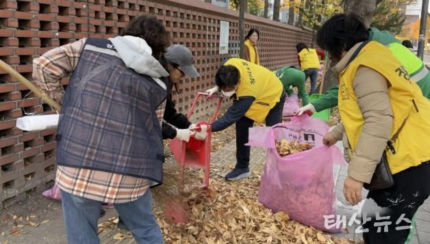 수원시 장안구 정자1동, 가을맞이 낙엽 대청소 실시