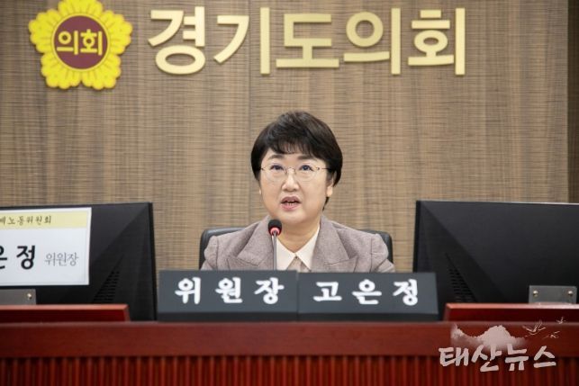 고은정 위원장(더불어민주당, 고양10)