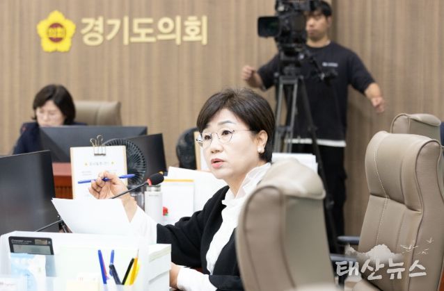 황진희 의원(더불어민주당, 부천4)