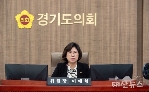 경기도의회 이애형 의원