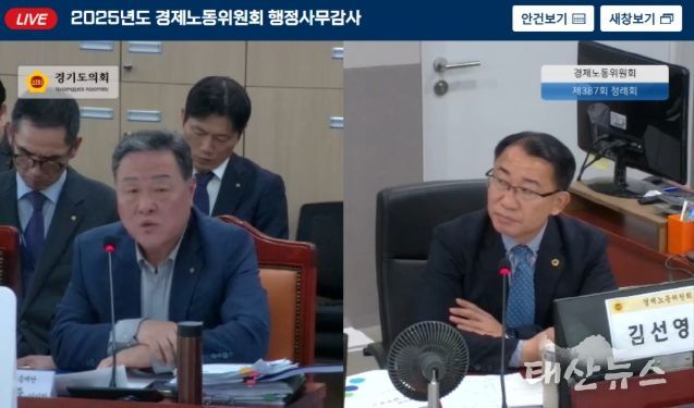 경기도의회 김선영 의원