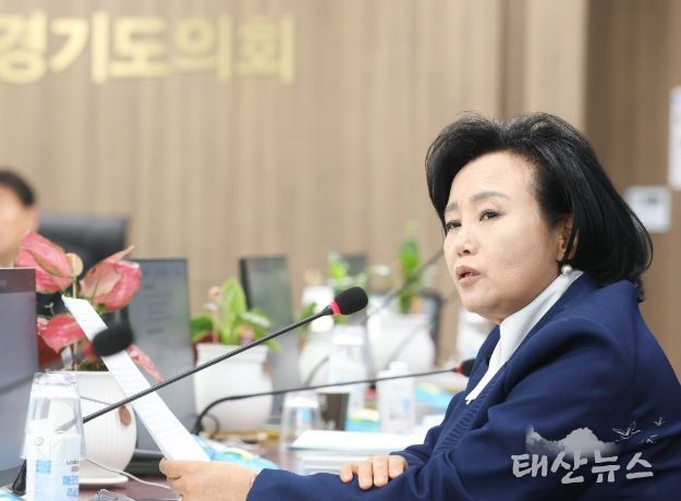 경기도의회 정윤경 부의장