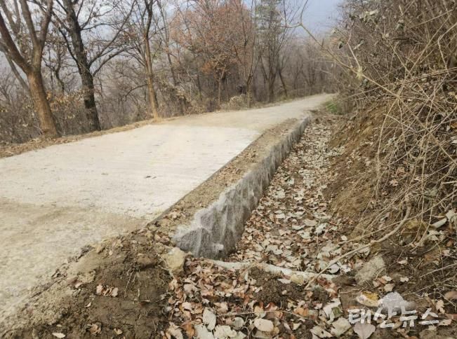 모현읍 왕산리 태교숲길 정비 완료 후 전경