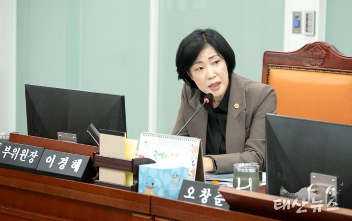 경기도의회 이경혜 의원