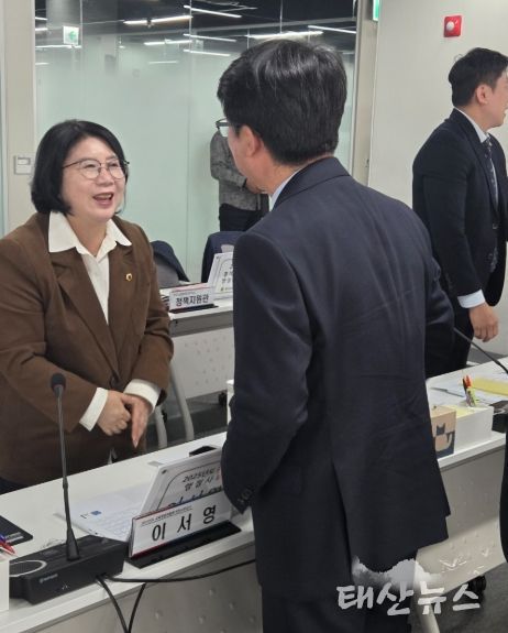 경기도의회 이서영 의원