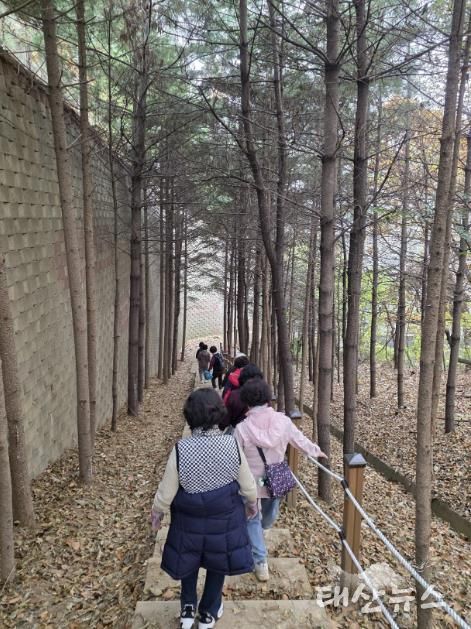 용인특례시 보건소 건강걷기 프로그램에 참여 중인 시민들