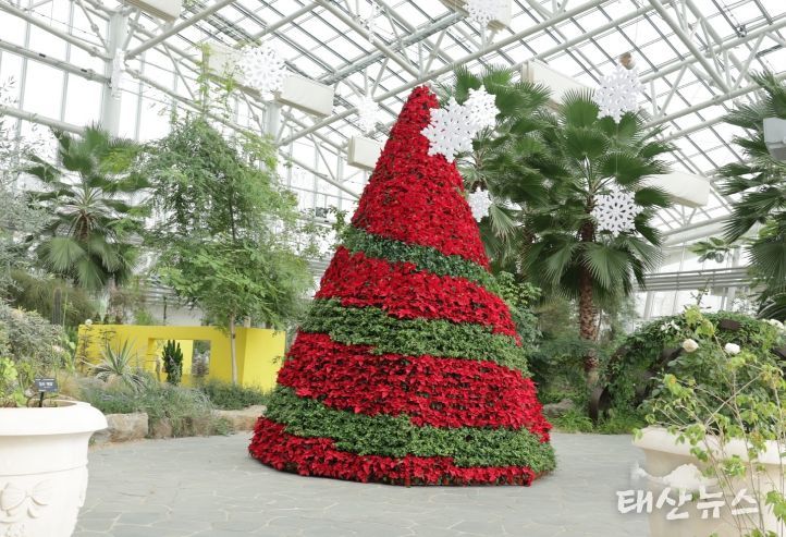 일월수목원 내 전시 온실 ‘겨울, 정원으로의 초대’