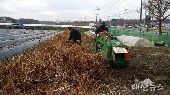 파주시,“영농 부산물 태우지 말고 파쇄하세요!”