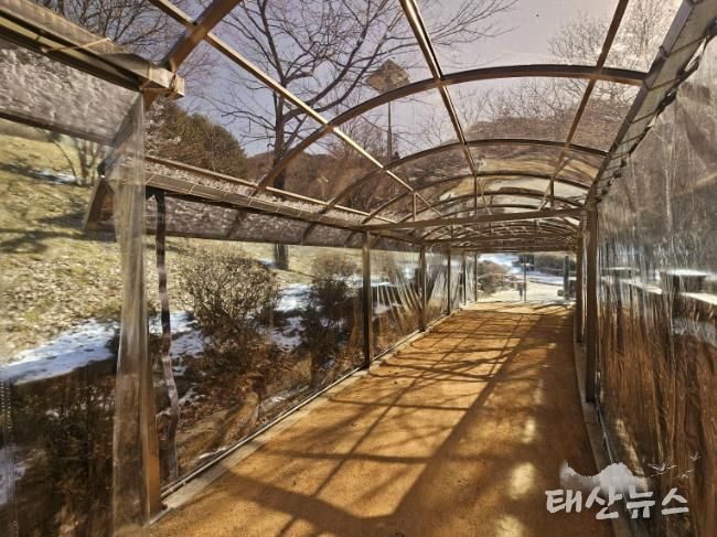 병목안시민공원 맨발산책길에 설치한 지붕 캐노피와 방한 비닐막 사진
